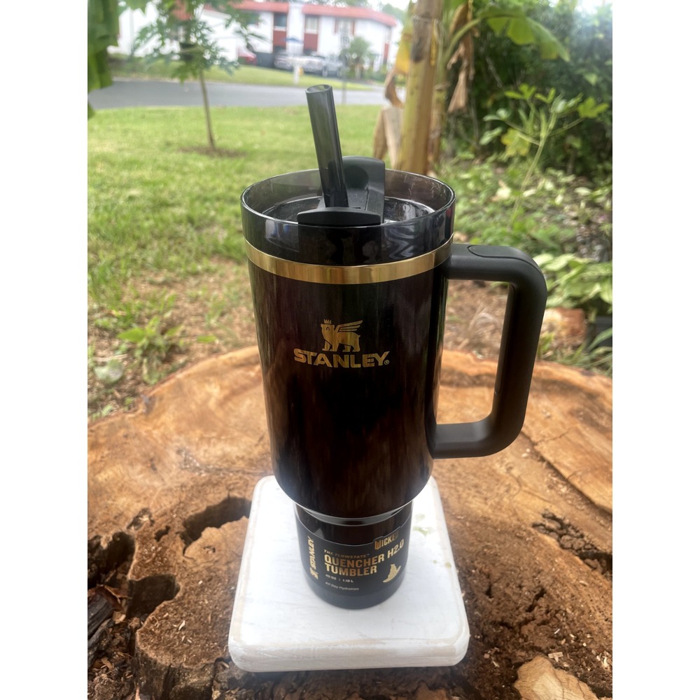 Stanley x Wicked 20oz FlowState Quencher Tumbler Elphaba For Good ON HAND - Picture 1 of 2